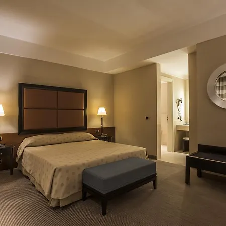 Ξενοδοχείο Ergife Palace 4*